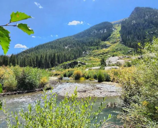Lincoln Creek Dispersed Campground
