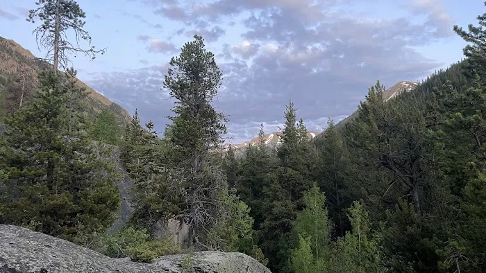 Lincoln Creek Dispersed Campground 2