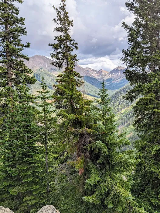 Lincoln Creek Dispersed Campground 5