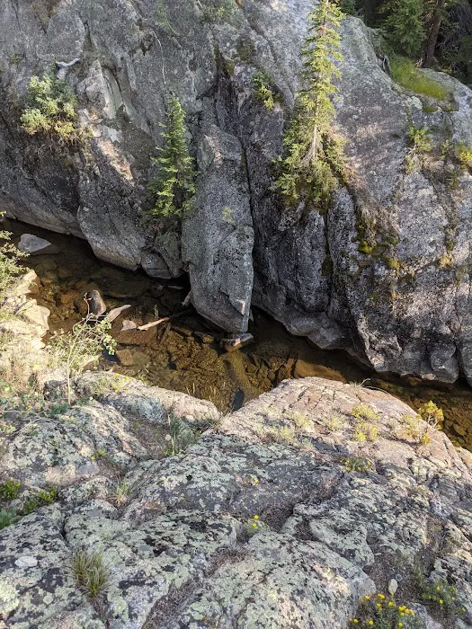 Lincoln Creek Dispersed Campground 7