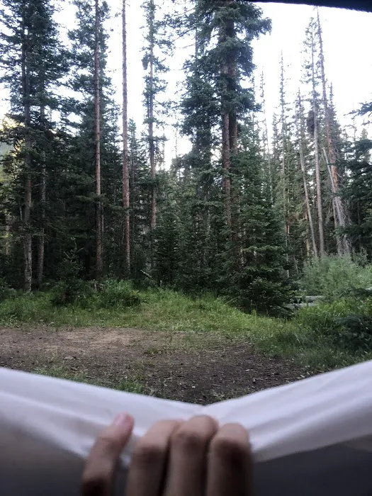Lincoln Creek Dispersed Campground 4