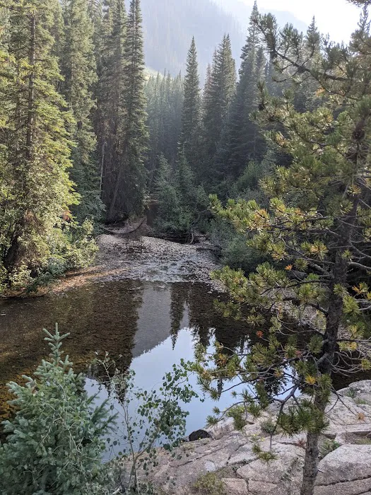 Lincoln Creek Dispersed Campground 6