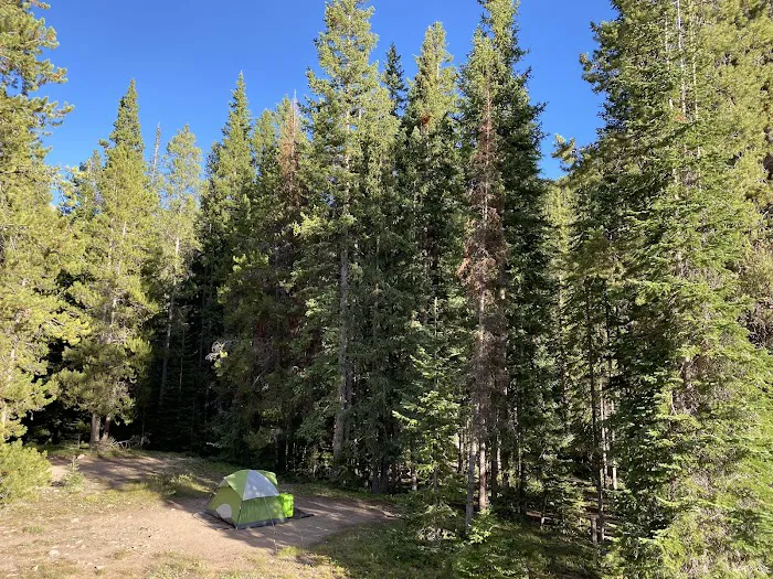 Lincoln Gulch Campground Picture 6