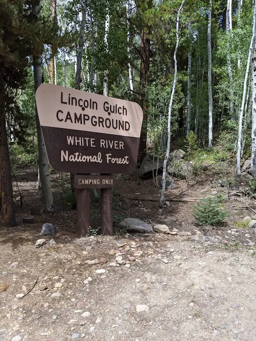 Lincoln Gulch Campground Picture 1