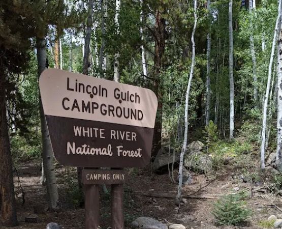 Lincoln Gulch Campground