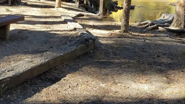 Elbert Creek Campground 2