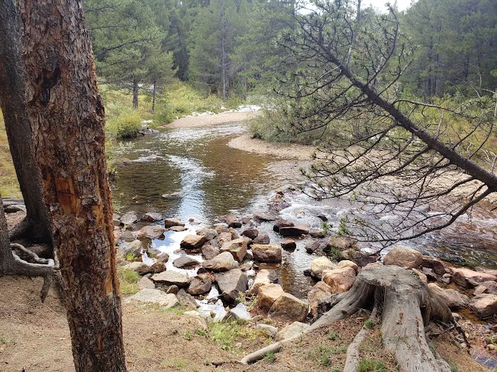 Elbert Creek Campground 7