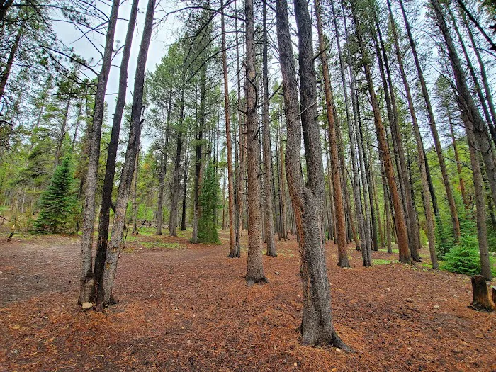 Elbert Creek Campground 8