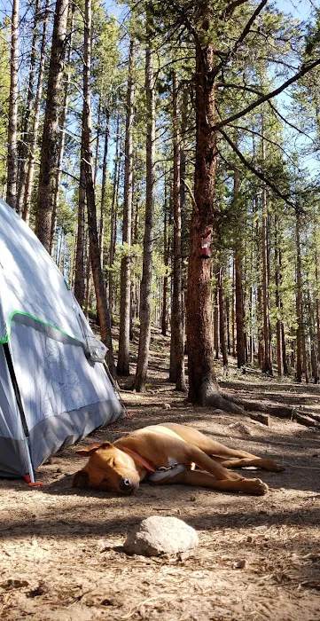 Halfmoon West Campground 2