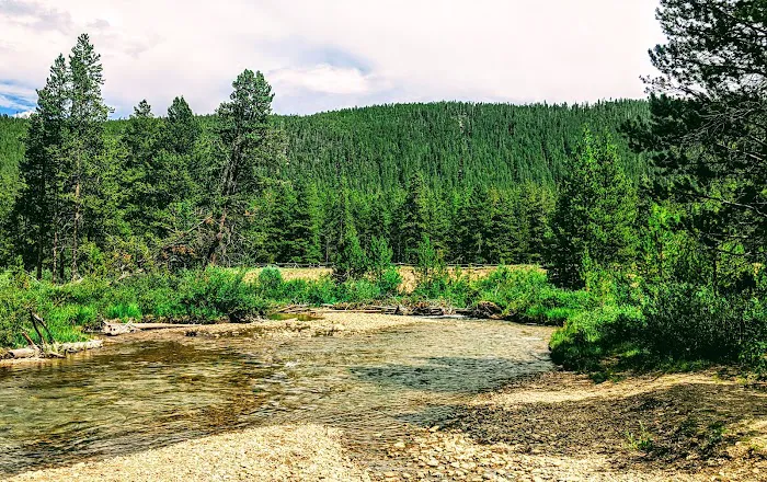 Halfmoon West Campground 6