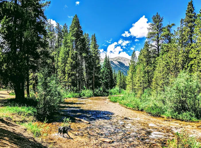 Halfmoon East Campground 8