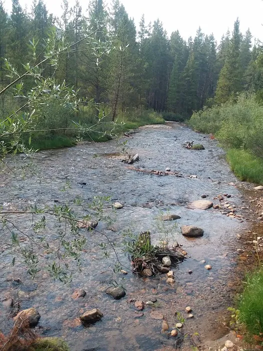 Halfmoon East Campground 7