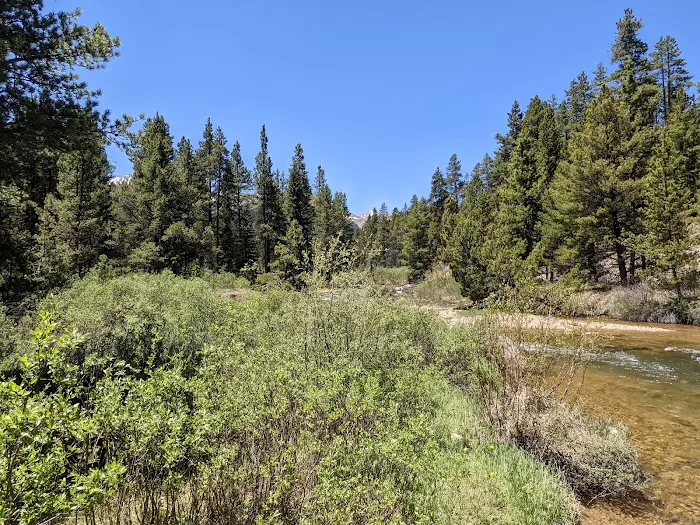 Halfmoon East Campground 4