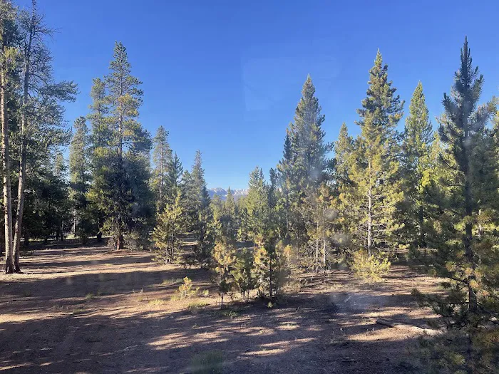 lodgepole flats 130S 0