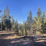 lodgepole flats 130S