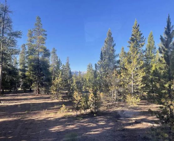 lodgepole flats 130S