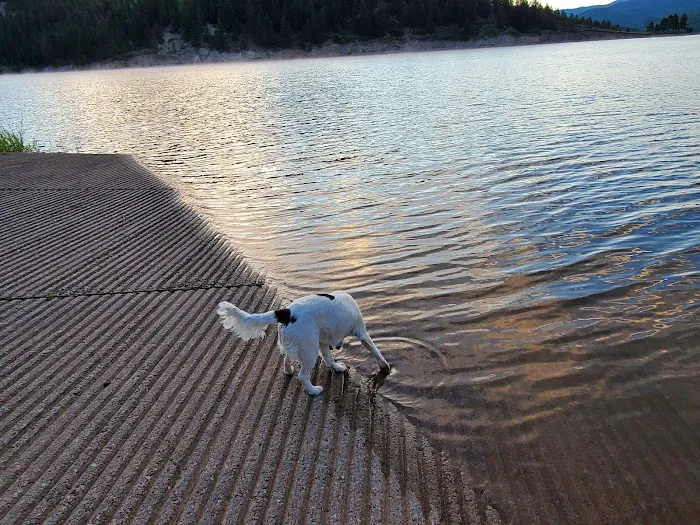 Ruedi Marina Campground Picture 9