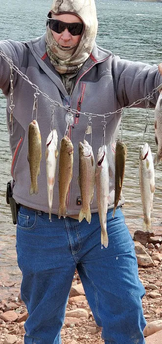 Ruedi Marina Campground Picture 1