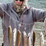 Ruedi Marina Campground