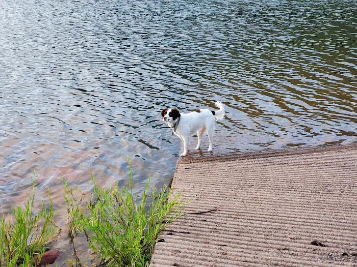 Ruedi Marina Campground Picture 7