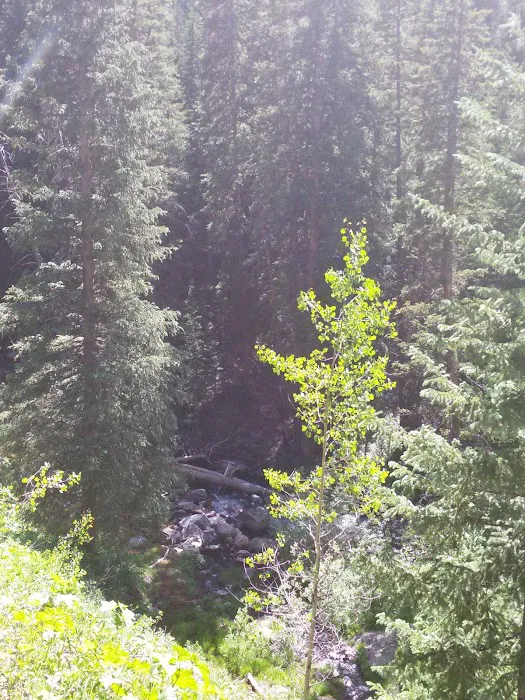 Fulford Cave Campground Picture 9