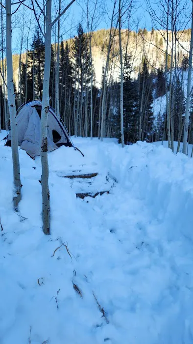 Fulford Cave Campground Picture 3