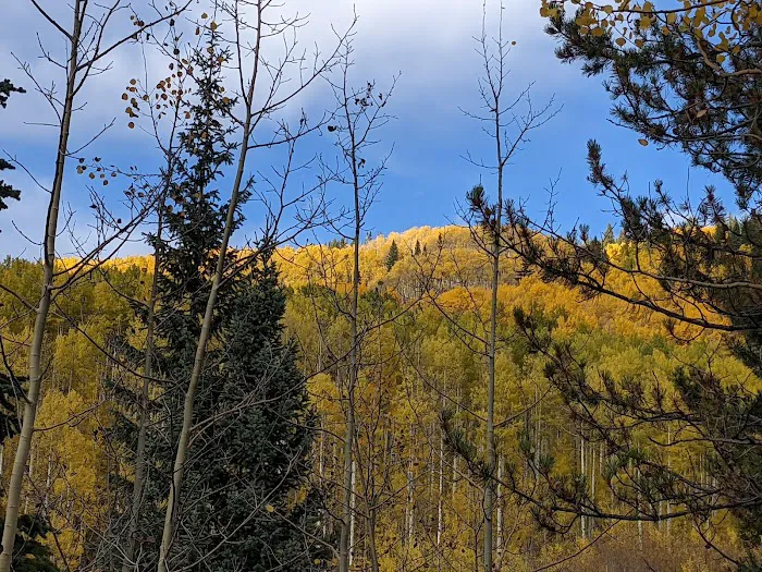 Fulford Cave Campground Picture 10