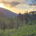 Fulford Cave Campground