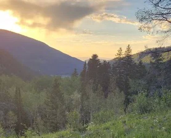 Fulford Cave Campground