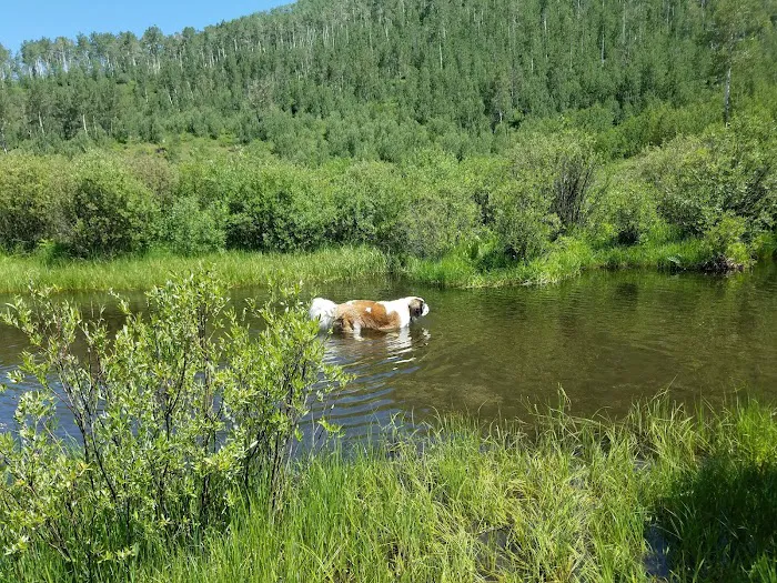 Yeoman Park Day Use Area (recgovnpsdata) 4