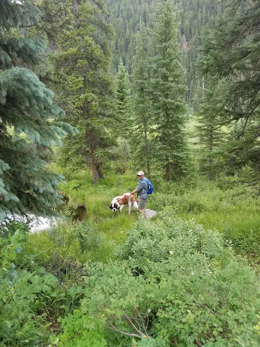 Yeoman Park Day Use Area (recgovnpsdata) 3