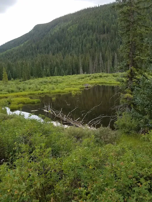 Yeoman Park Day Use Area (recgovnpsdata) 5