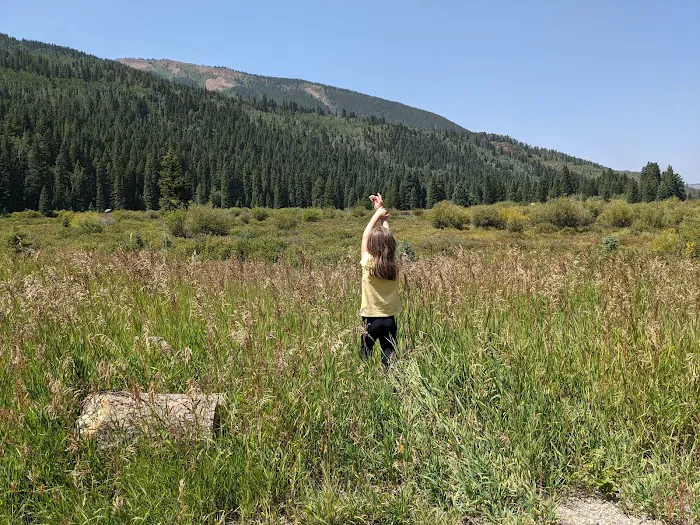 Yeoman Park Day Use Area (recgovnpsdata) 6