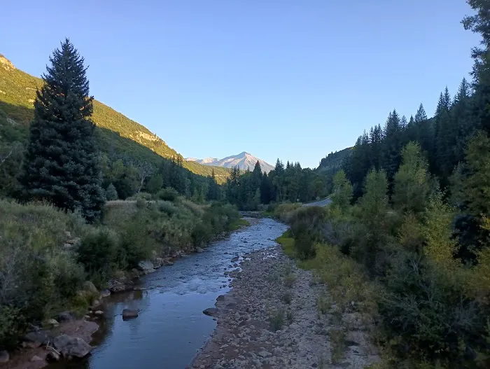 Spruce Campground 3