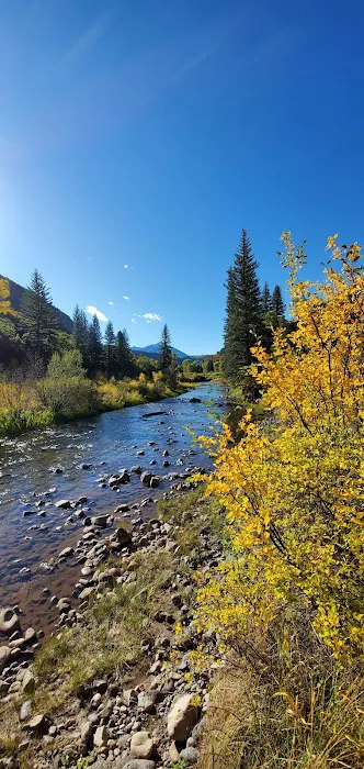 Spruce Campground 4