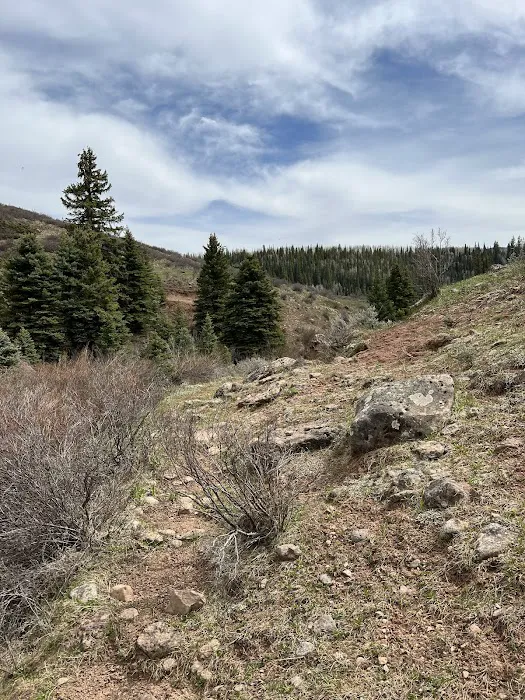 Dyke Creek Campground 2