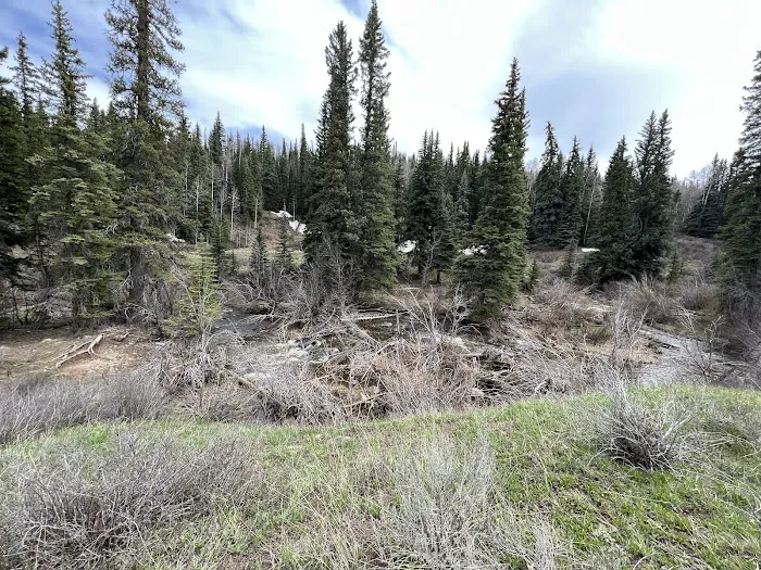 Dyke Creek Campground 6