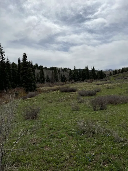 Dyke Creek Campground 1