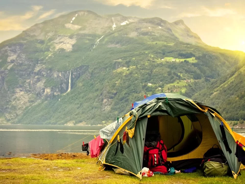 How to Combine Camping with Forest Walks for an Ultimate Outdoor Adventure