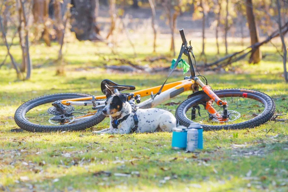 How to Enjoy Mountain Biking Near Campsites: Tips for an Unforgettable Adventure
