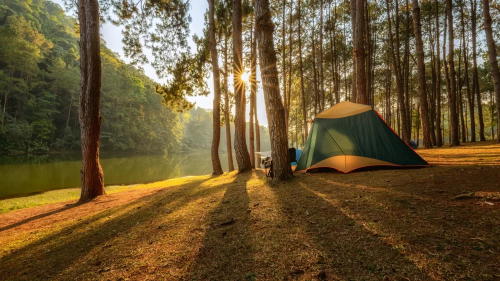 How to Ensure Fire Safety While Camping: Essential Tips for a Safe Outdoor Experience