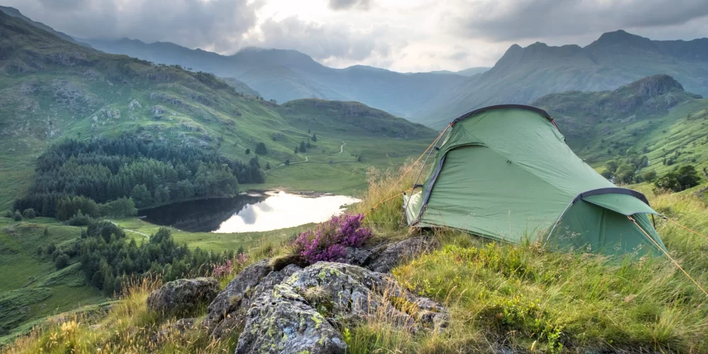 How to Choose the Best Campsite for Wildlife Photography: Essential Tips and Guide