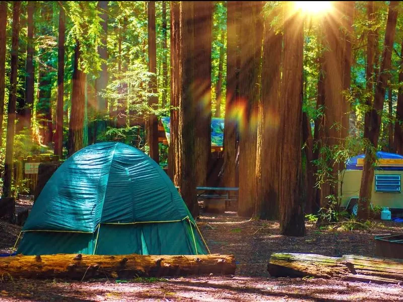 Top Camping Sites in National Forests