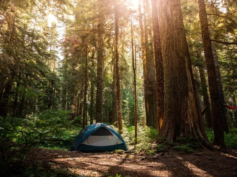 Eco-Friendly Camping Tips for Solo Travelers: Sustainable Outdoor Adventures
