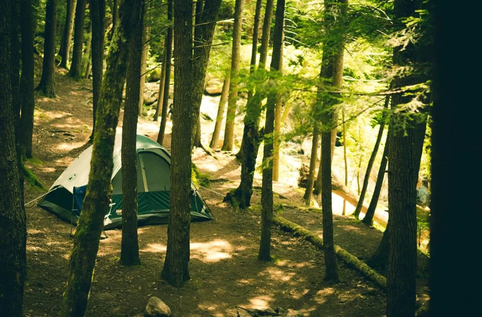 Tips for Leaving a Campsite Better Than You Found It: Sustainable Camping Practices