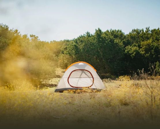 Best Campsites for Camping in the Great Basin Desert: A Complete Guide
