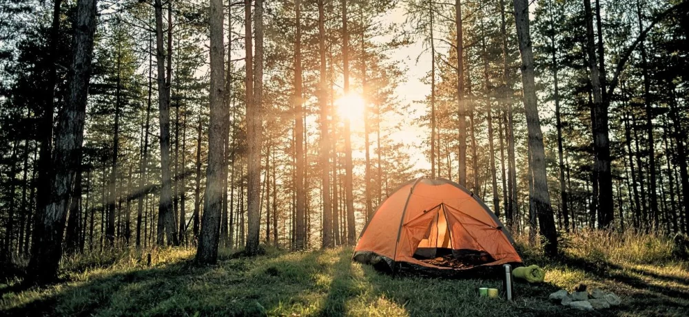 Unforgettable Camping Trip Surprises and How to Handle Them