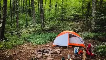 Camping in the Catskills: A Complete Guide to Exploring Nature