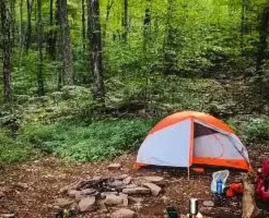 Camping in the Catskills: A Complete Guide to Exploring Nature