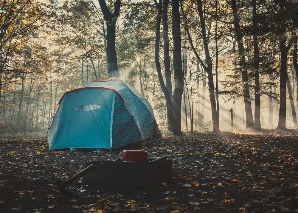 Camping in the Great Smoky Mountains: A True Adventure Awaits